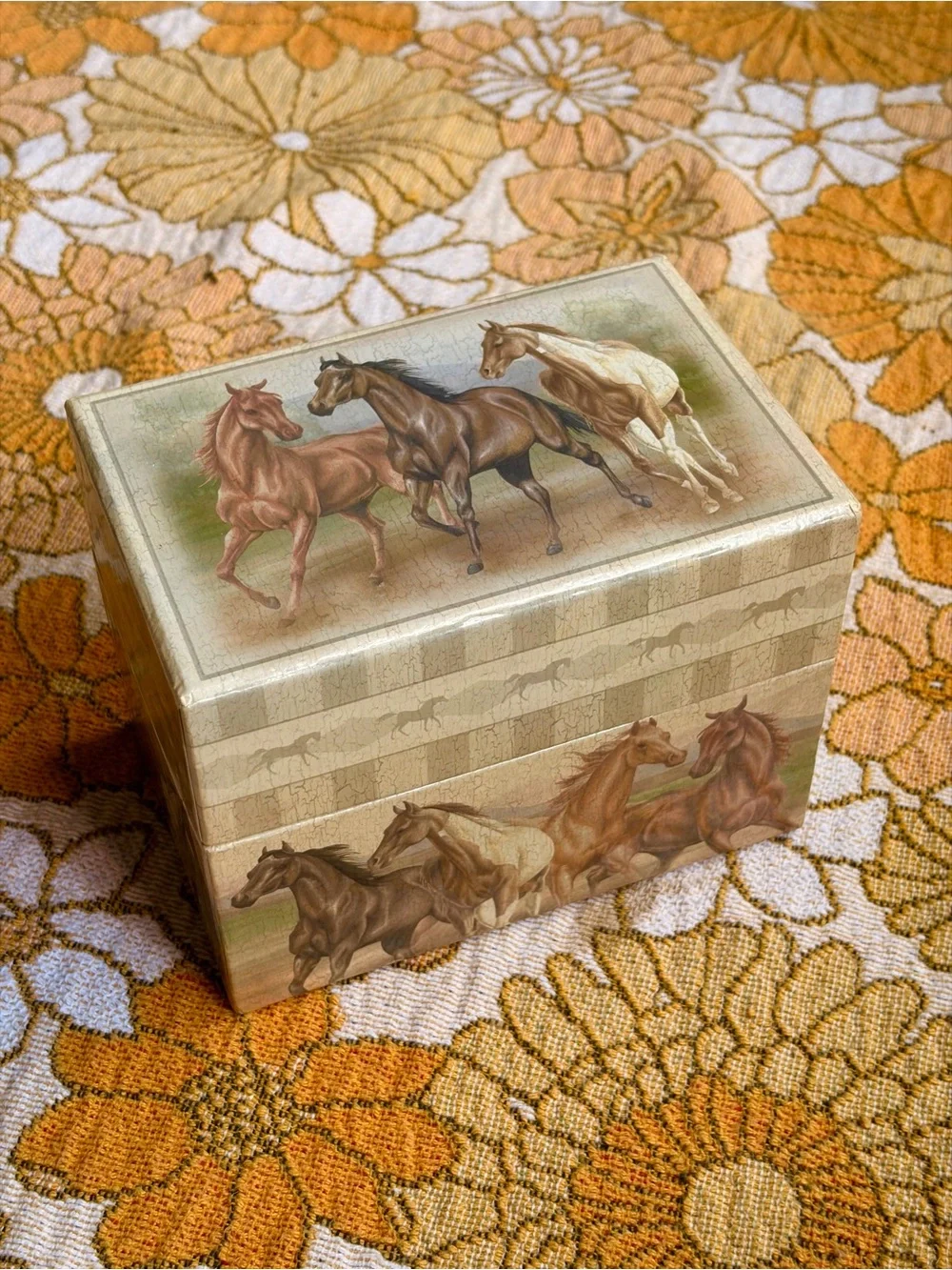 🐎🌾✨ Vintage Y2K Horse Recipe Box ✨🌾🐎